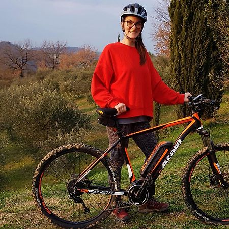 Agriturismo Bio Tra Cielo E Terra Lejlighed Grutti Eksteriør billede