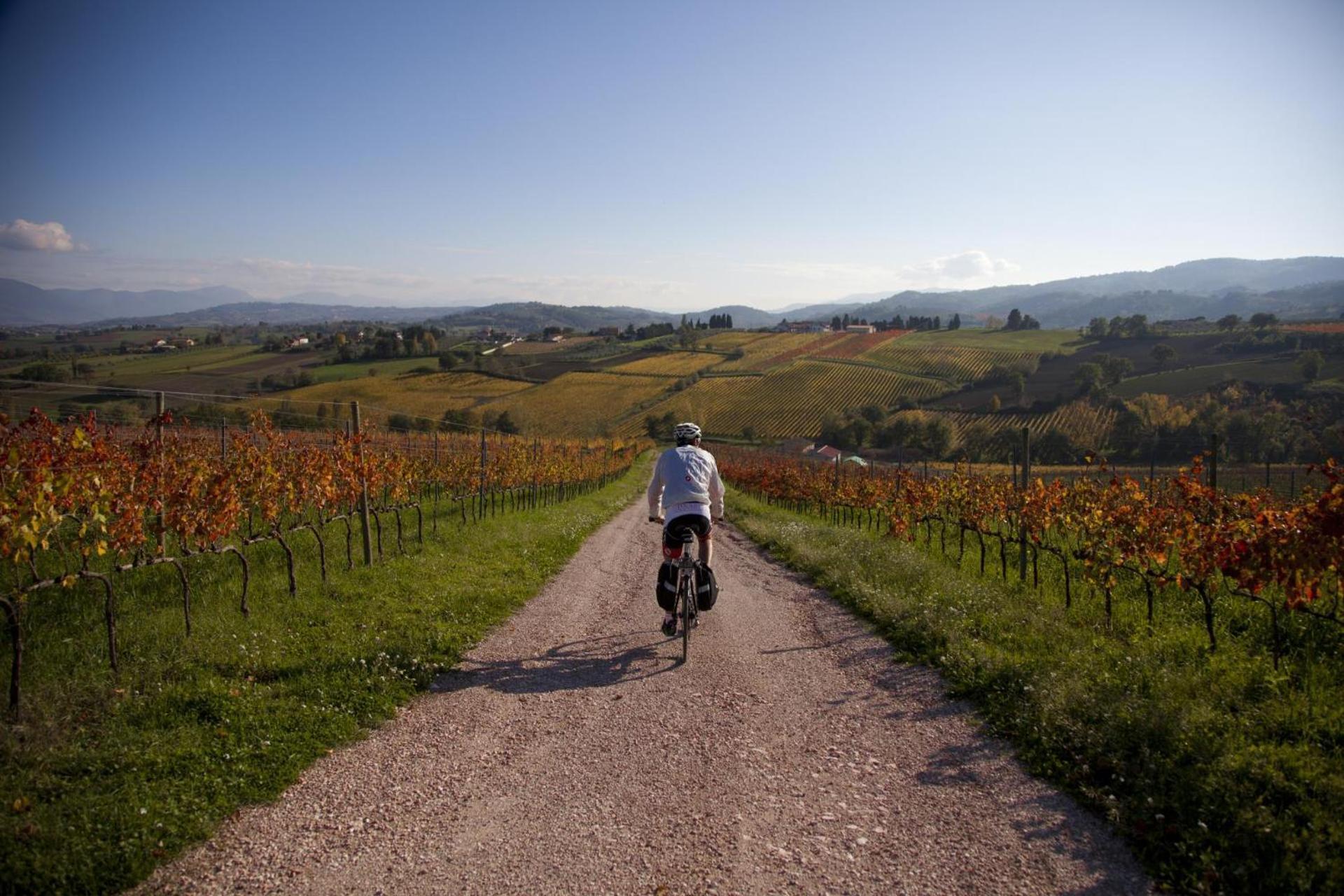 Agriturismo Bio Tra Cielo E Terra Lejlighed Grutti Eksteriør billede