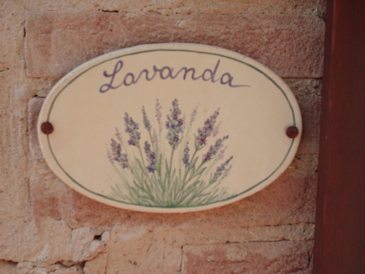 Agriturismo Bio Tra Cielo E Terra Lejlighed Grutti Eksteriør billede