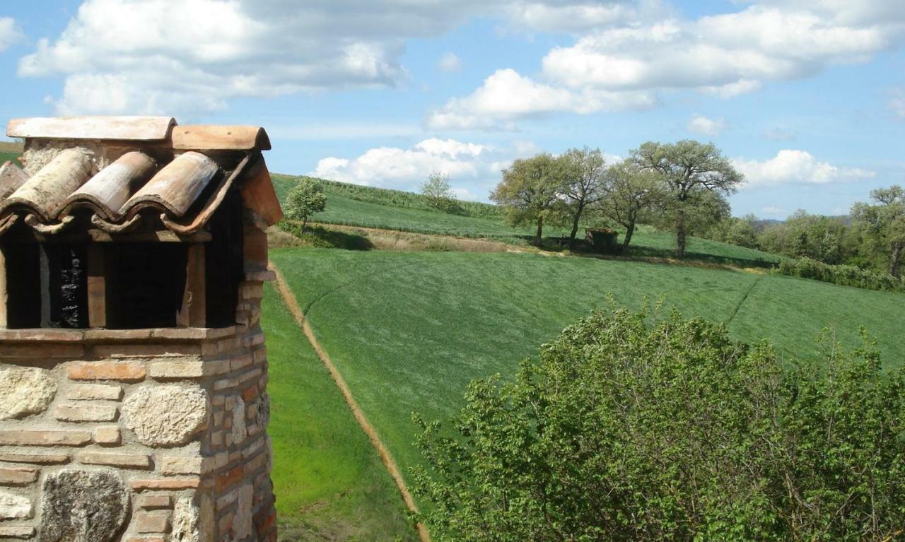 Agriturismo Bio Tra Cielo E Terra Lejlighed Grutti Eksteriør billede