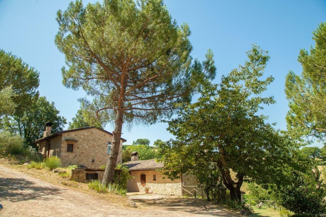 Agriturismo Bio Tra Cielo E Terra Lejlighed Grutti Eksteriør billede