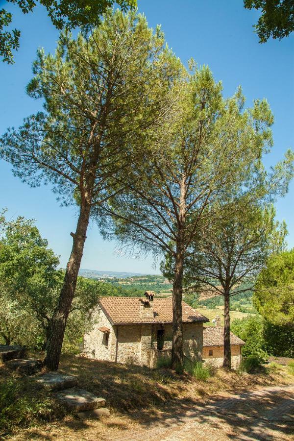Agriturismo Bio Tra Cielo E Terra Lejlighed Grutti Eksteriør billede