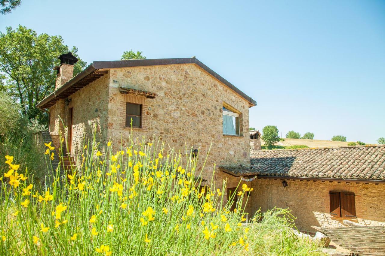 Agriturismo Bio Tra Cielo E Terra Lejlighed Grutti Eksteriør billede