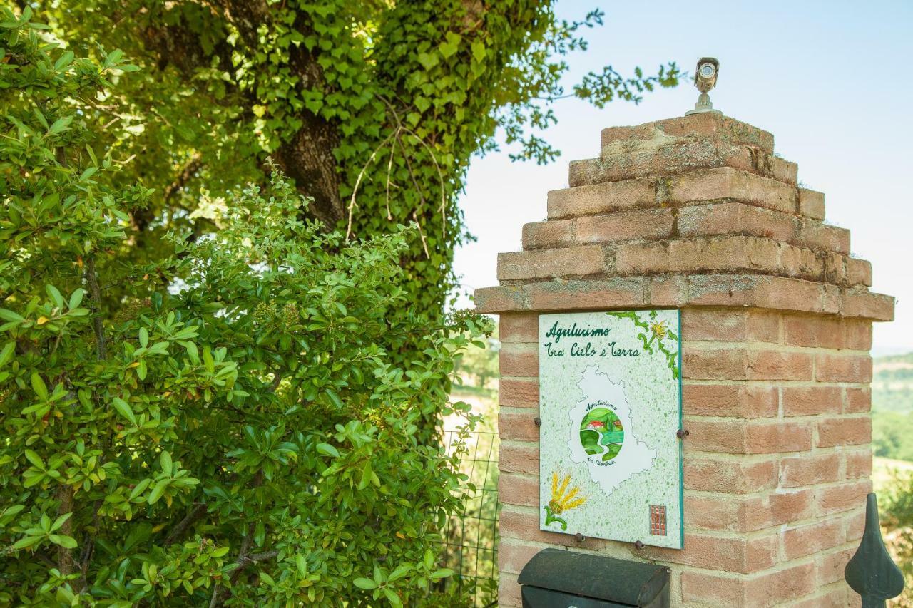 Agriturismo Bio Tra Cielo E Terra Lejlighed Grutti Eksteriør billede